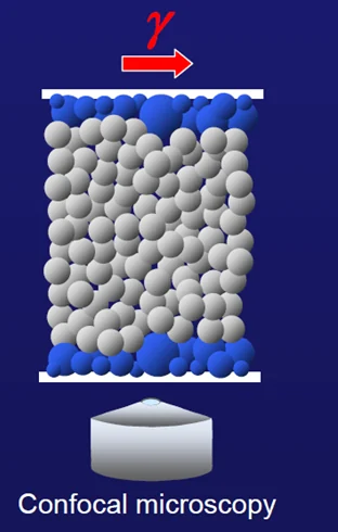 Confocal microscopy illustration of particles under shear deformation